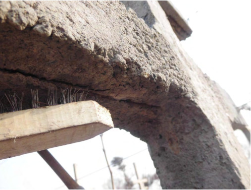 圖8 刮除架材上(shàng)的(de)蟲卵.jpg